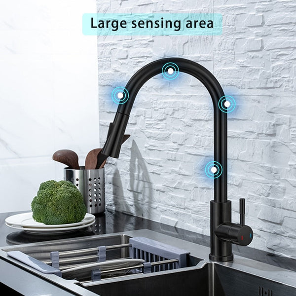 Smart Touch Kitchen Faucet